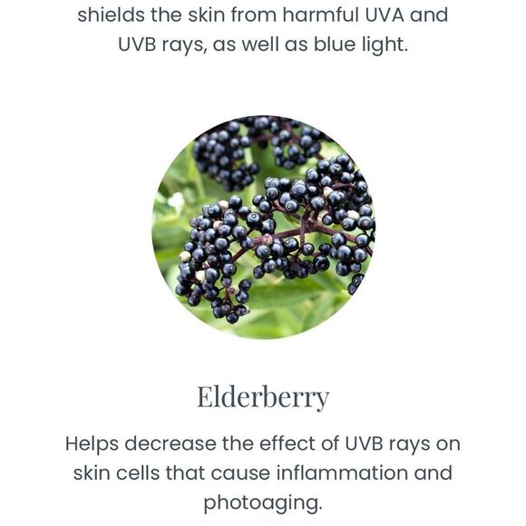 Beekman 1802 Milk Tint SPF 43 Primer Serum- medium- 1fl/oz- 30ml- NIB! - Picture 11 of 13